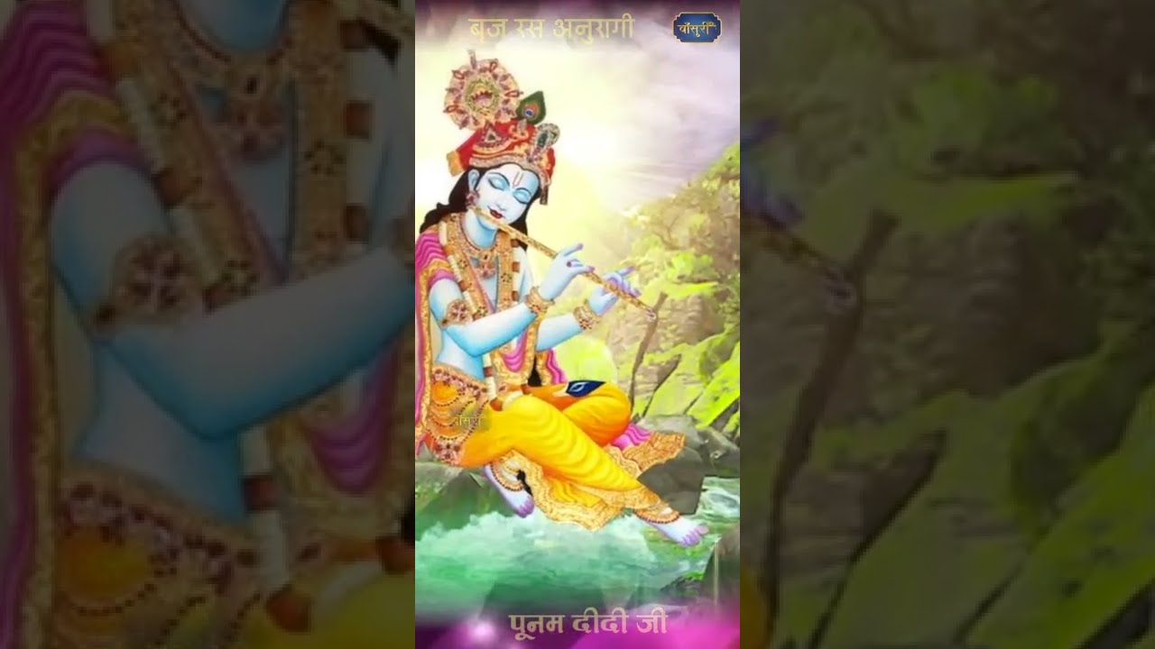ना हीर कहो मैनु /बृज रस अनुरागी पूनम दीदी जी #bansuri #shorts